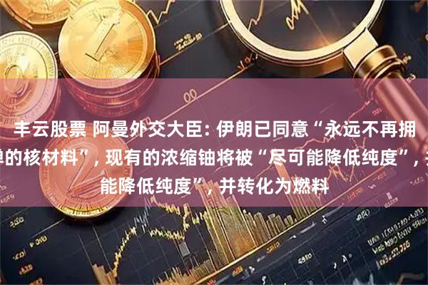 丰云股票 阿曼外交大臣: 伊朗已同意“永远不再拥有可制造核弹的核材料”, 现有的浓缩铀将被“尽可能降低纯度”, 并转化为燃料